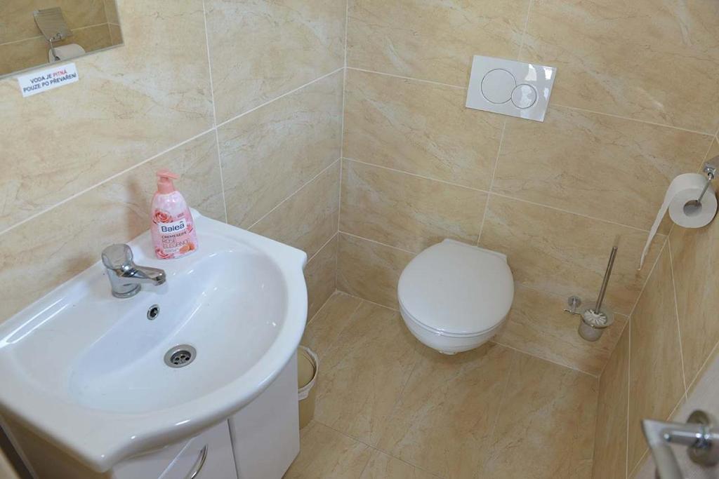 Chata u dědka room 3